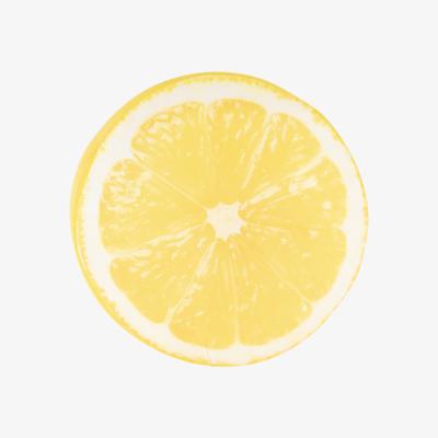 The Range Lemon Cushion