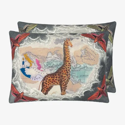 The Rug Seller Heavens Cushion in Zinc Grey by John Derian