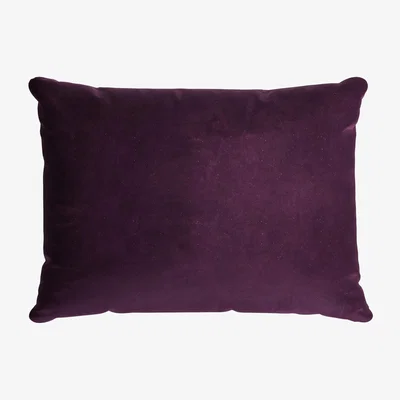 Sofa.com 38x55cm Scatter Cushion in Damson Smart Velvet