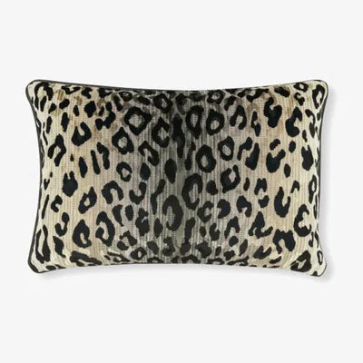 Tobias Oliver ROMO | Temperley London | Mimi Velvet 60cm x 40cm Cushion | Kohl