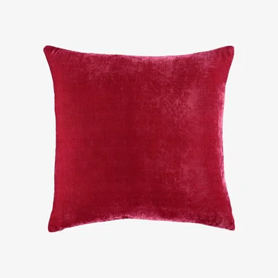 Tobias Oliver William Yeoward |Paddy Velvet Cushion Rose