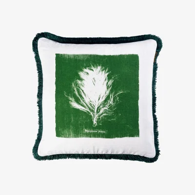 Wolf & Badger Green / White Algae Ii Cushion By Mindthegap