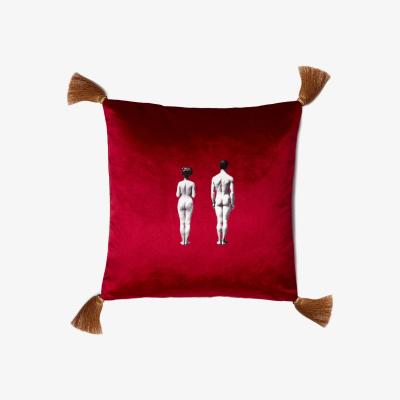 Wolf & Badger Models Velvet Cushion Deep Berry Red Melody Rose London