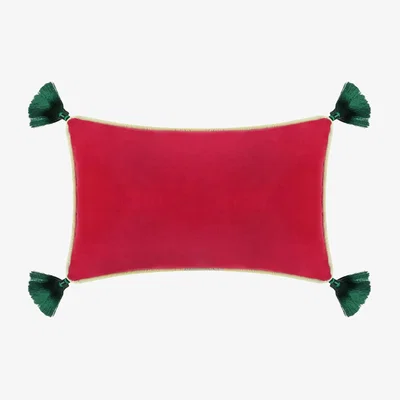 Wolf & Badger Pink / Purple Fuschia Velvet Rectangular Cushion With Tassels Bivain