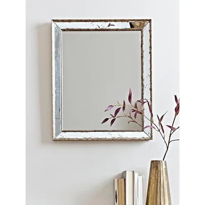 Cox and Cox Antiqued Glass Frame Mirror - Large
