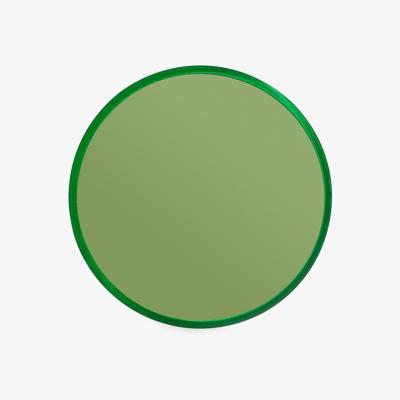 Cuckooland Bold Monkey Medium You're So Ugly Mirror - Green