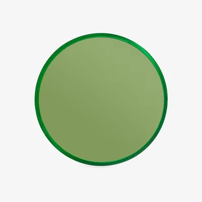 Cuckooland Bold Monkey Medium You're So Ugly Mirror - Green