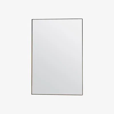 Dunelm Huntly Mirror 60 x 90cm Champagne