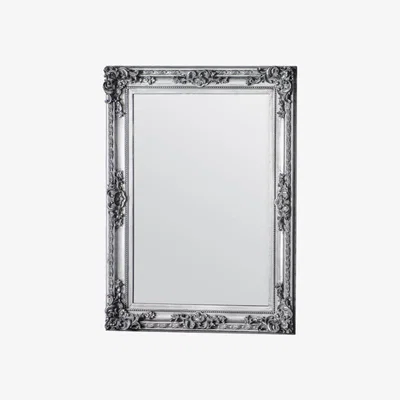 Knees Cary Large Rectangle Wall Mirror - Silver