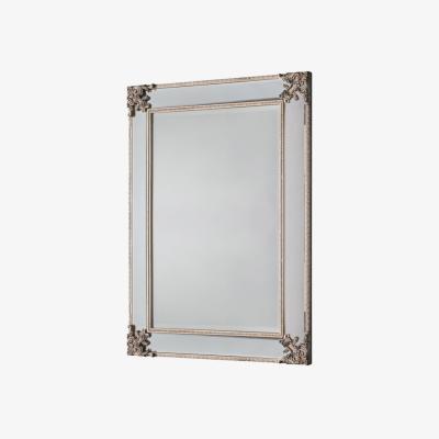 Olivia's Gallery Direct Wilson Mirror / Champagne
