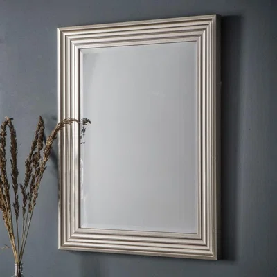 Olivia's Gallery Interiors Haylen Mirror Wall Mirror - Brushed Steel | Outlet