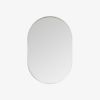 Olivia's Gallery Interiors Hurston Elipse Champagne Wall Mirror