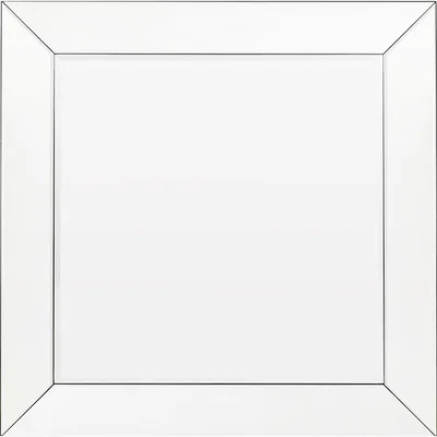 Perch and Parrow Peek Square Mirror