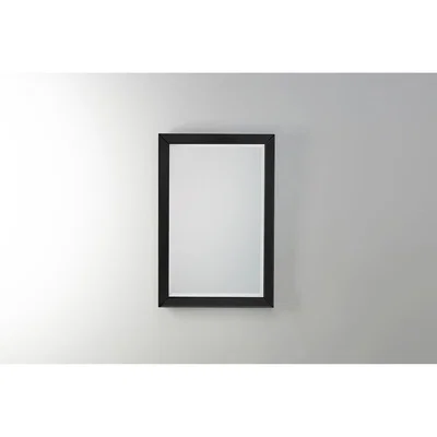 Perch and Parrow Skylar Wall Mirror in Black