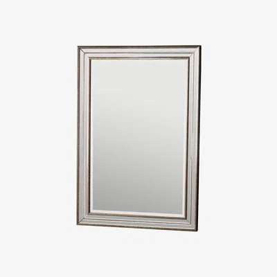 Pagazzi Squire Rectangular Champagne Mirror