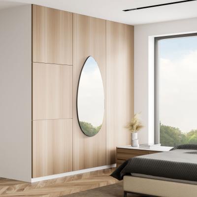 The Range Tear Drop - Frameless Glass Wall Mirror - Silver