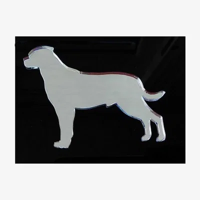 The Range Rottweiler Silver Acrylic Mirror - Silver / 17.5cm