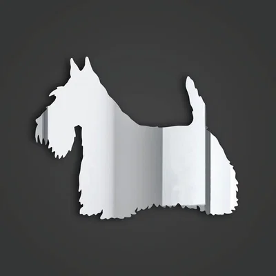 The Range Scottish Terrier Style 3 Silver Acrylic Mirror - Silver