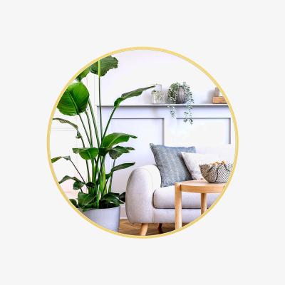 The Range Dripex Round Hanging Wall Mirror with Metal Frame  - Gold