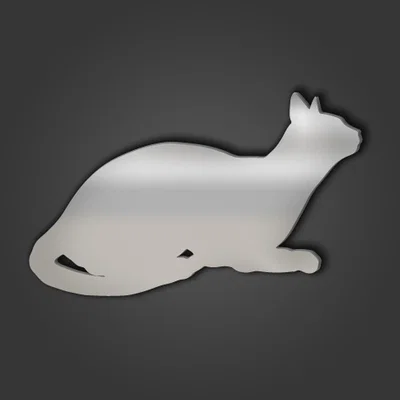 The Range Abyssinian Cat Style 9 Silver Acrylic Mirror - Silver / 50cm