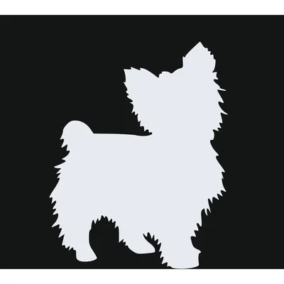 The Range Yorkshire Terrier Style 8 Silver Acrylic Mirror - Silver