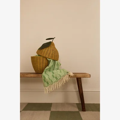 Anthropologie Sage Lemon Basket