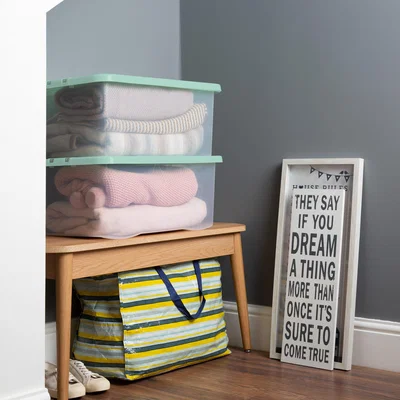 Dunelm 45L Plastic Storage Box Green Lid Green