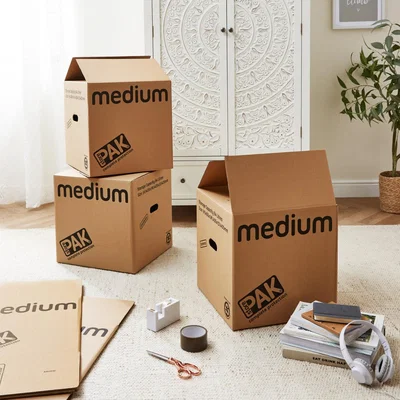 Dunelm StorePAK 5 Pack Moving Boxes Medium Brown