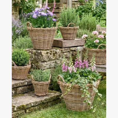 Dibor Lined Wicker Planter Baskets with Handles
