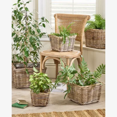 Dibor Bala Square Lined Baskets