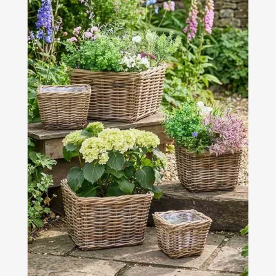 Dibor Bala Square Lined Planter Baskets