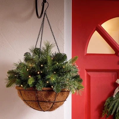 Habitat Habitat Pre Lit Hanging Basket Tree