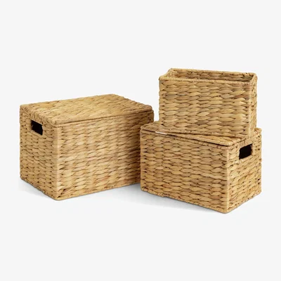 Habitat Habitat Pack of 3 Water Hyacinth Storage boxes - Natural