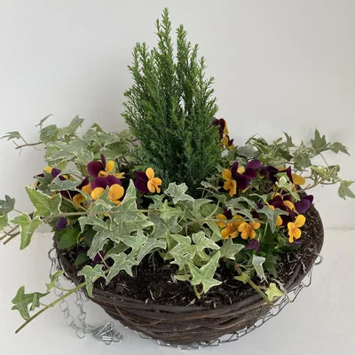 Homebase Rattan Hanging Basket  Premium Selection Autumn - 30cm