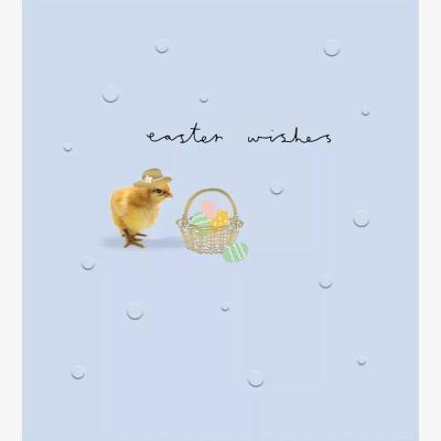 John Lewis The Proper Mail Company Chick & Basket Easter Card