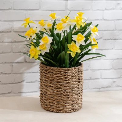 La Redoute 58cm Artificial Daffodils in Seagrass Basket