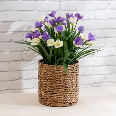La Redoute 58cm Artificial Crocus in Seagrass Basket