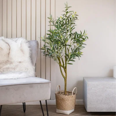 La Redoute 125cm Olive Tree in Basket