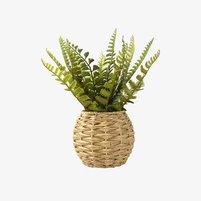La Redoute Artificial Pteridophtye in Basket