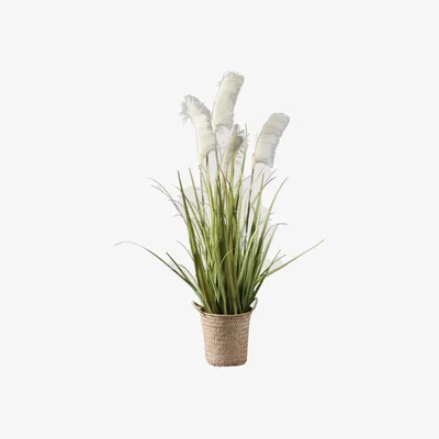 La Redoute 100cm Artificial Pampas Grass in Natural Basket