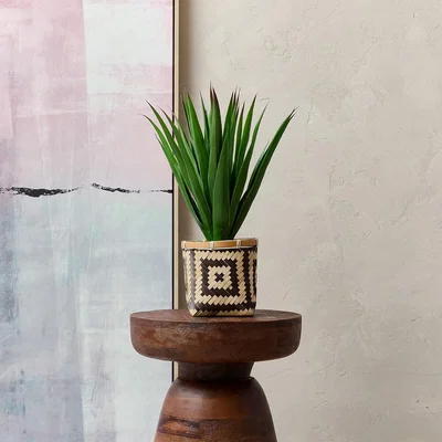 La Redoute 55cm Artificial Spikey Plant in Bamboo Basket