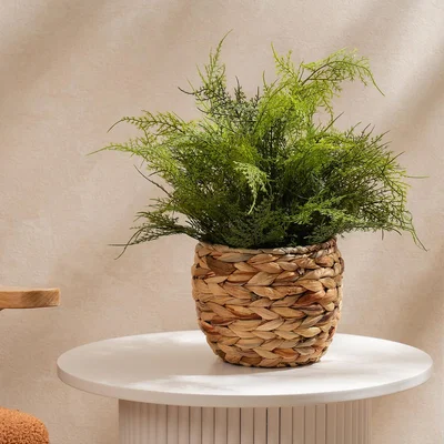 La Redoute 43cm Fern in Basket