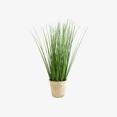 La Redoute 49cm Artificial Grass in Rattan Basket