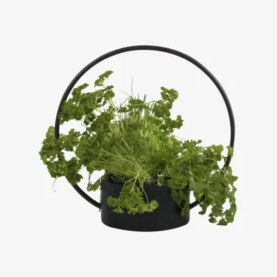 Made in Design O Medium Basket - / Basket - Ø 35 x H 34 cm by XL Boom Black