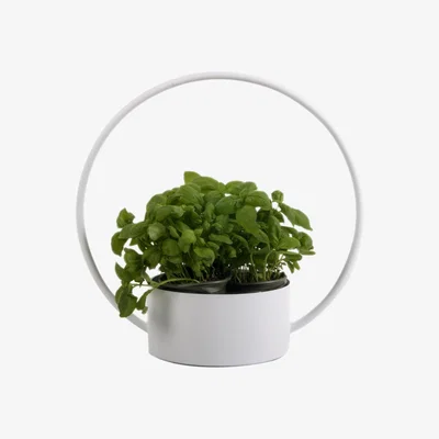 Made in Design O Medium Basket - / Basket - Ø 35 x H 34 cm by XL Boom White