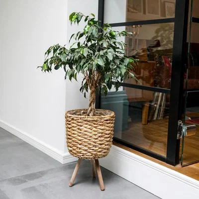 Olivia's Ivyline Water Hyacinth Lined Basket