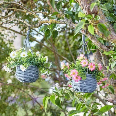Downtown Smart Garden Basket Bouquets - Meadow