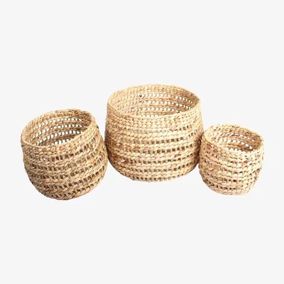 Pagazzi Woven Hyacinth Trio of Baskets