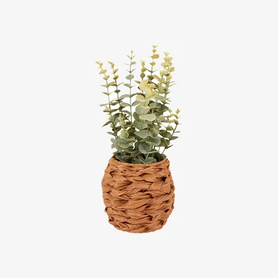 The Range Eucalyptus in Water Hyacinth Basket 40cm - Green and Brown