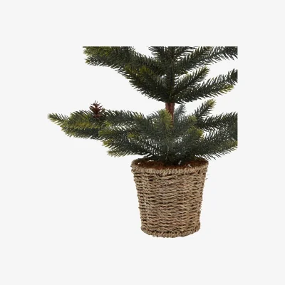 The Range Spruce Tree In Wicker Basket Seasonal Display Arrangement - Green